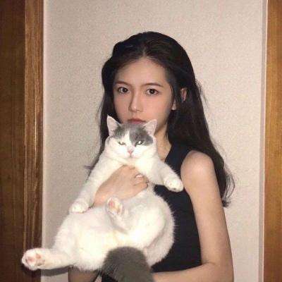 一品大臣vip破解版下载